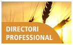 Directori professional