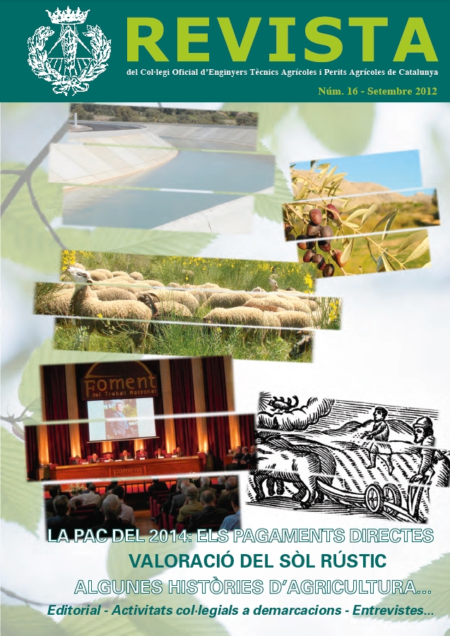 REVISTA NÚM. 16