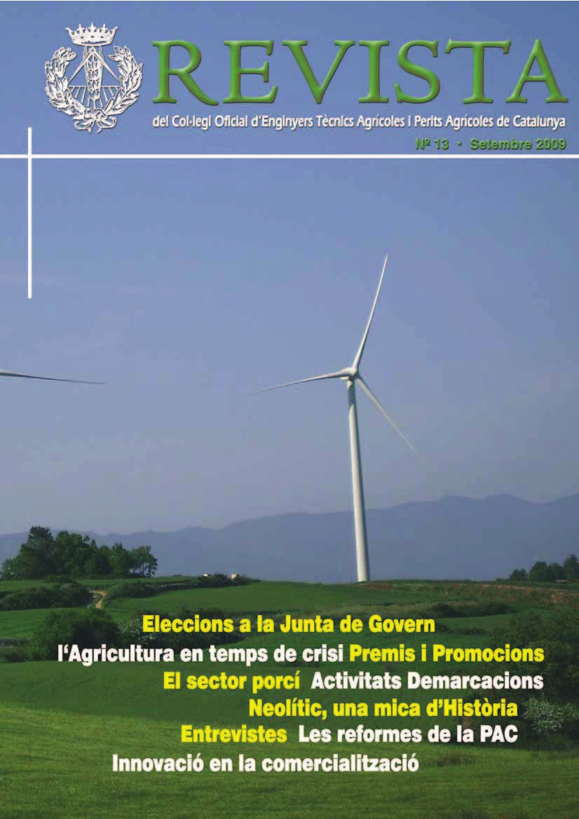 REVISTA NÚM. 13