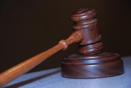 Accés a llistats de perits judicials
