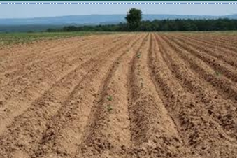 EL MANEIG DEL SÒL: EL GRAN OBLIDAT DE L’AGRICULTURA INTENSIVA?