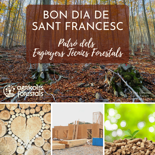Bon dia de Sant Francesc. Patró dels Enginyers Tècnics Forestals