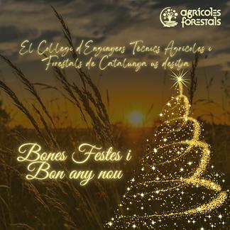 El CETAFC us desitja Bones Festes!